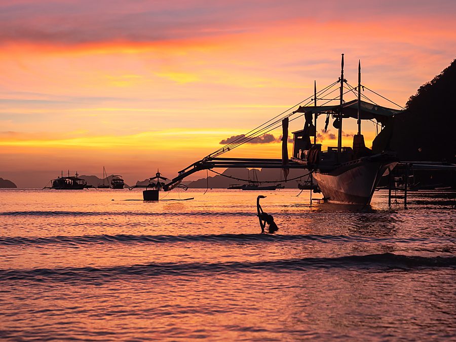 Private Expedition: Your Own Palawan Route