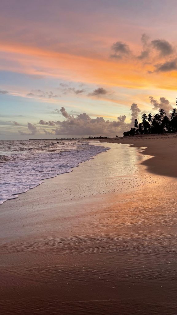 Sunset over a palm-lined tropical beach